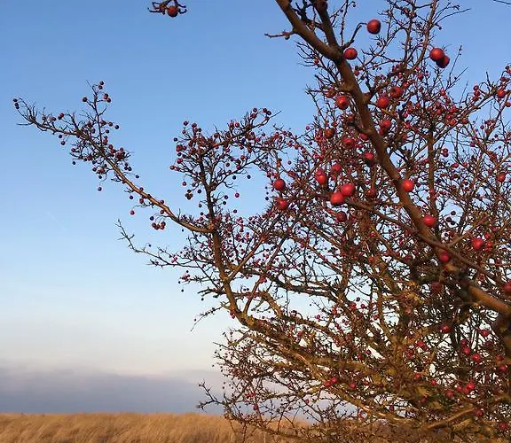 Ostseehotel 3* Blekendorf